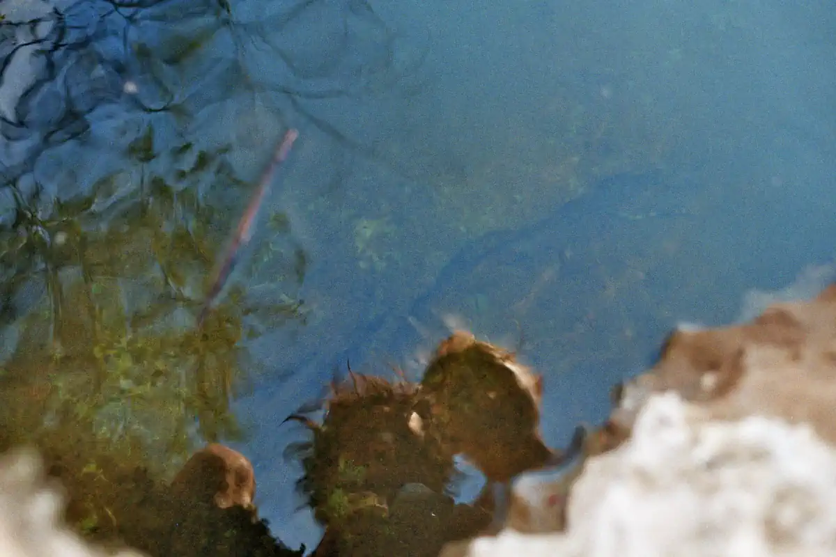 Die Gesichter von Anka und René spiegeln sich im blauen Wasser